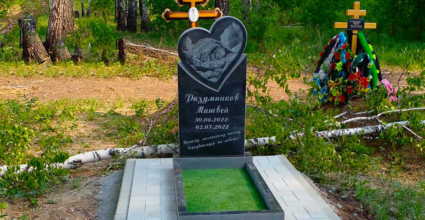 Выполненные нами работы