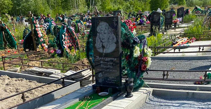 Выполненные нами работы