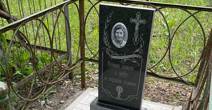 Выполненные нами работы